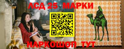 твердый Краснознаменск