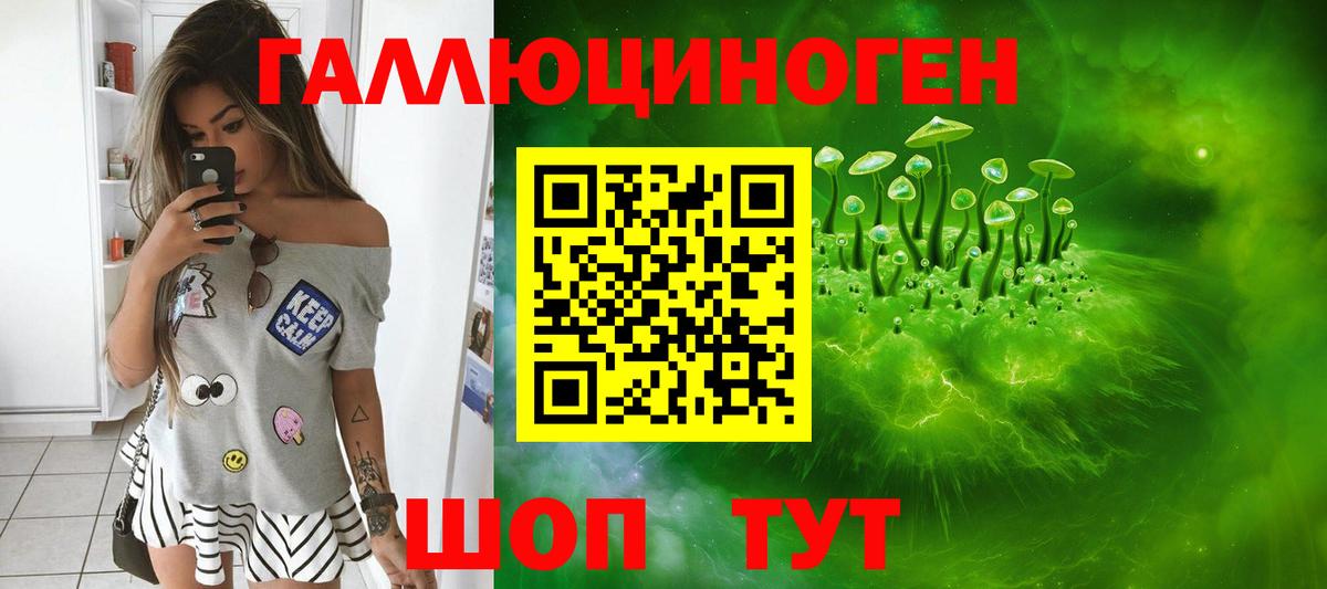 Клин  Галлюциногенные грибы Psilocybine cubensis  Вход с VPN  Псилоцибиновые грибы прущие грибы 